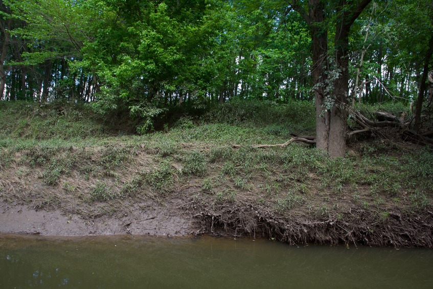 Looking East across the creek towards the confluence point, 89 m away. The point lies in a field just beyond the trees in the background.