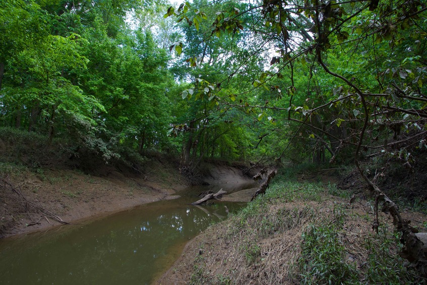 View East (along the creek)