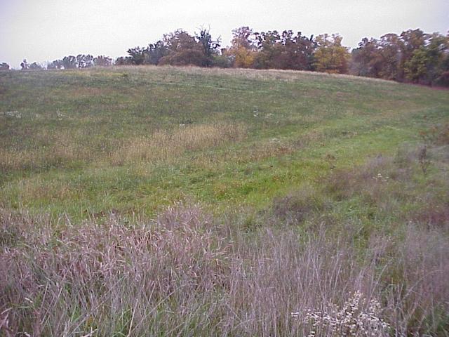 Confluence site, looking northwest.