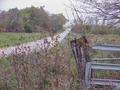 #8: Nearest road to the confluence, looking south from 250 meters southeast of the confluence.