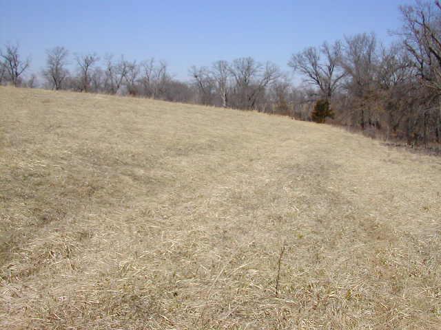 View from the confluence to the north