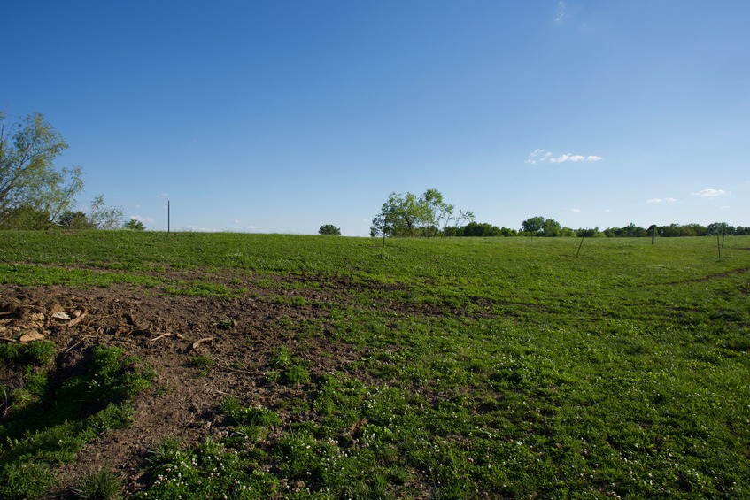 View South (towards a small pond, not visible here)