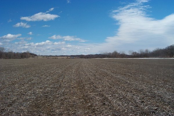 East view from confluence