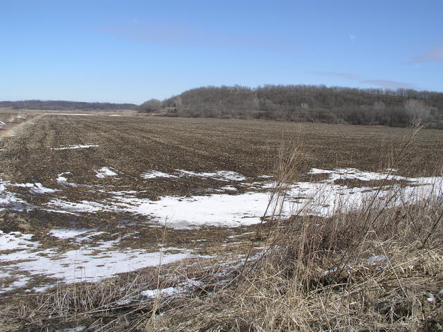 Looking north to 40N 95W from the Lincoln Creek levee.