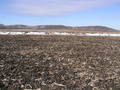 #5: Looking west from 40N 95W across drainage ditch towards the Nodaway River.