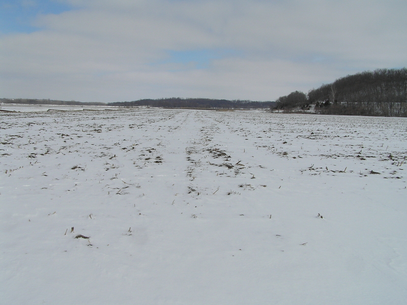 View to the north from the confluence.