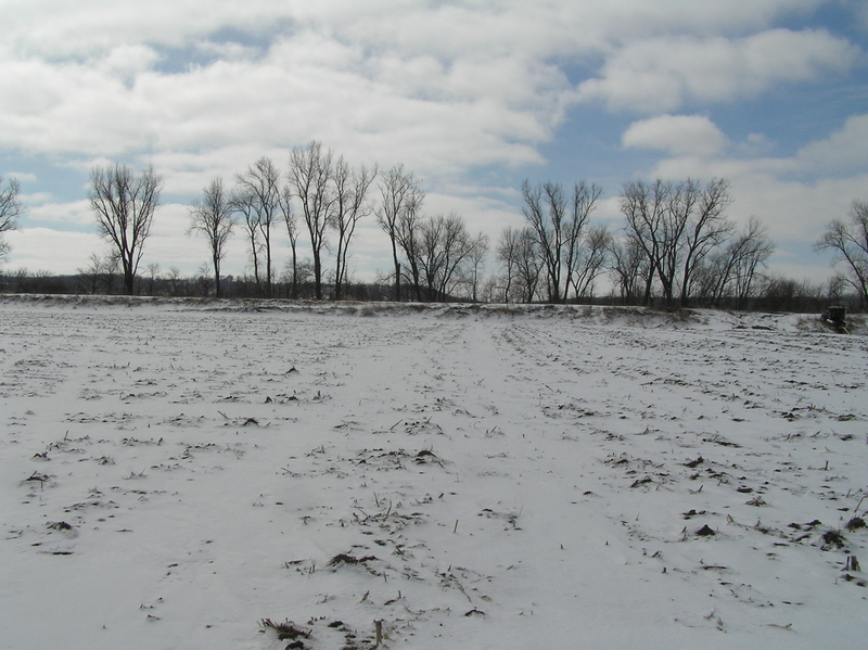 View to the south from the confluence.