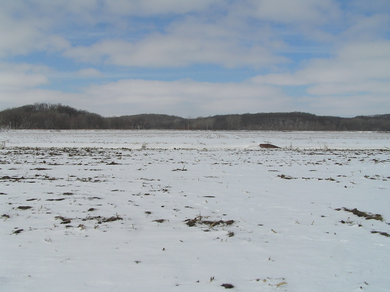 View to the west from the confluence.