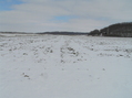 #5: View to the north from the confluence.