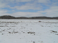 #8: View to the west from the confluence.