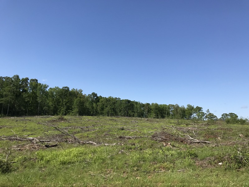 Looking north at the confluence point from the closest road to the south.