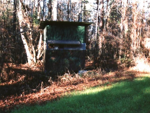 Hunting blind at confluence