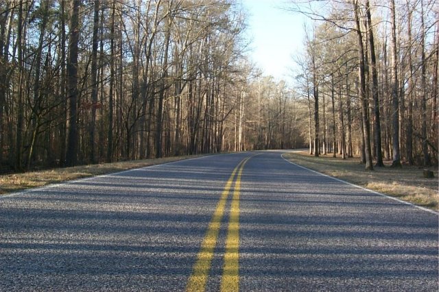 The Natchez Trace