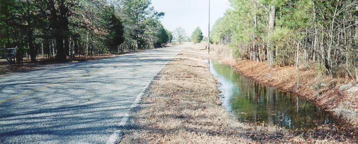 Looking north along the road.