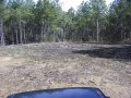 #2: A little clearing at the confluence site.  Perhaps the citizens of Winston county are planning a confluence museum.