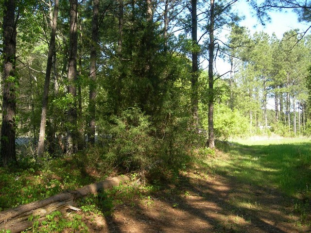 The point is in the foreground where the two sticks cross.