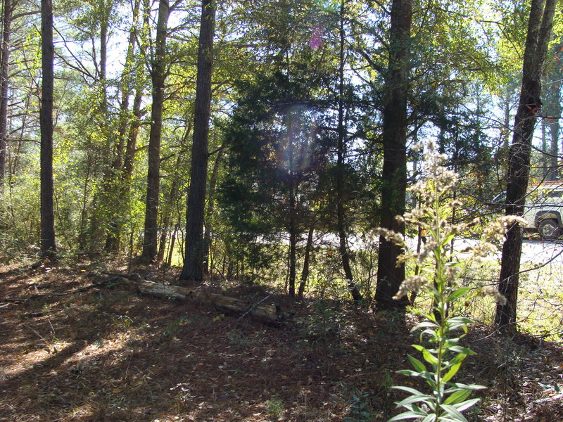 To the south, Childs Road follows the 89th meridian, but can’t be seen because of a curve just before it intersects with Enon Road.