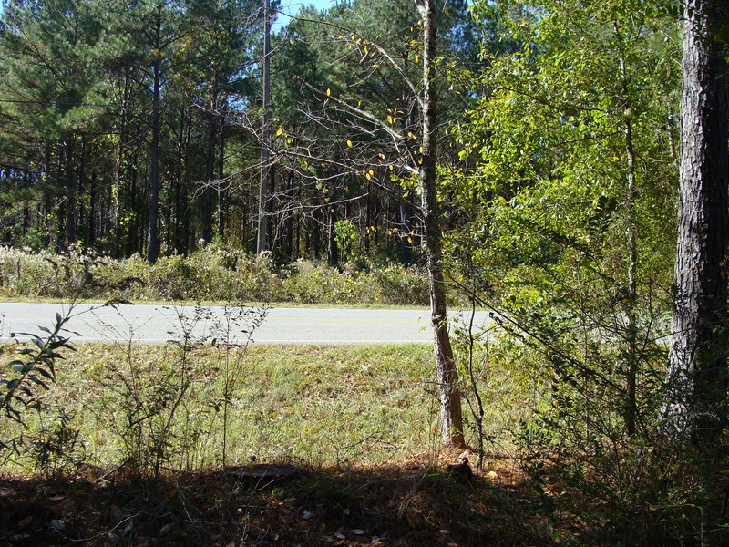 Looking west to Enon Road.