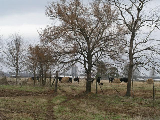 Once away from Highway 15, no other gates were encountered on the walk to 34N89W.