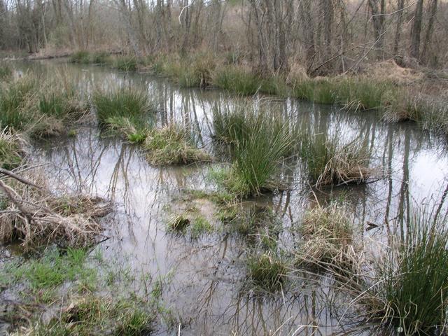 34N89W is located in a wetland west of a cow pasture.