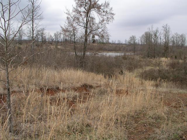 A man-made pond sits just upsteam from 34N89W.