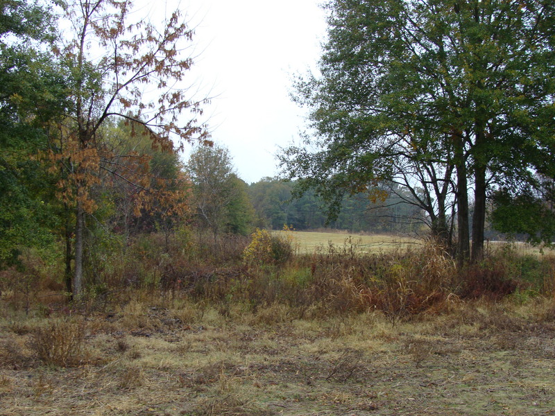 Looking east from 34N 90W