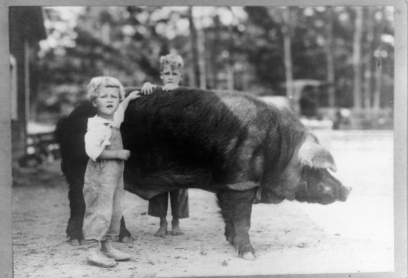 Scissors and friends outside his specially built home in an earlier time