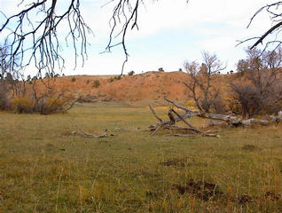 #1: North view from the confluence