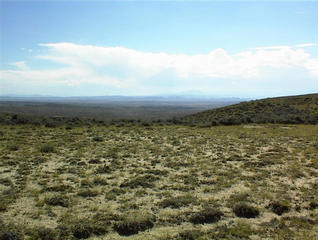 #1: View south from the confluence, with Hart Mountain