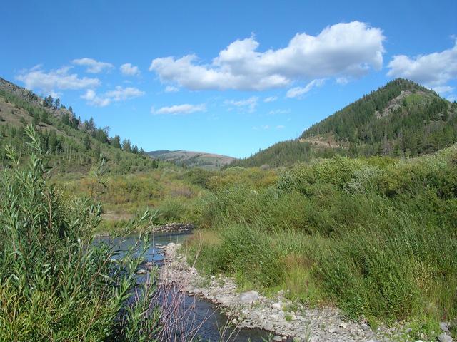 On the road to Jackson Hole