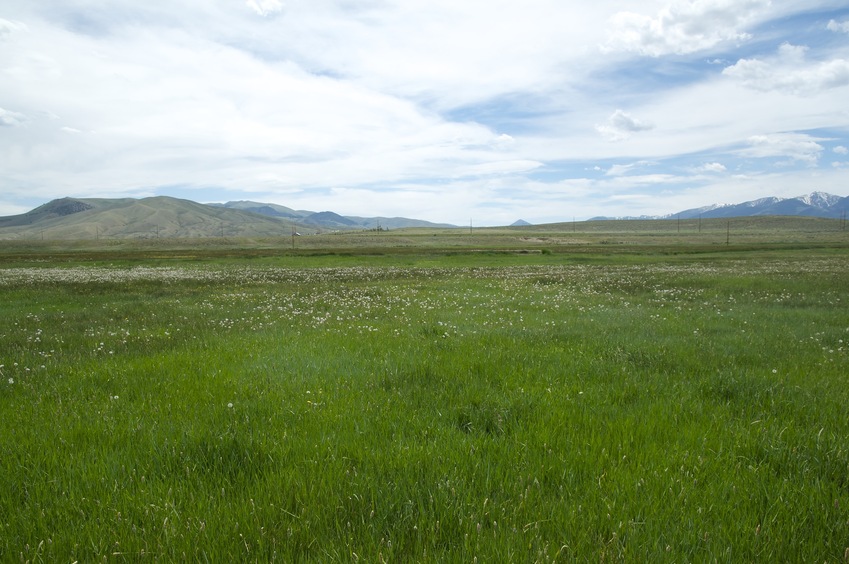 View South (towards the road, 0.3 miles away)