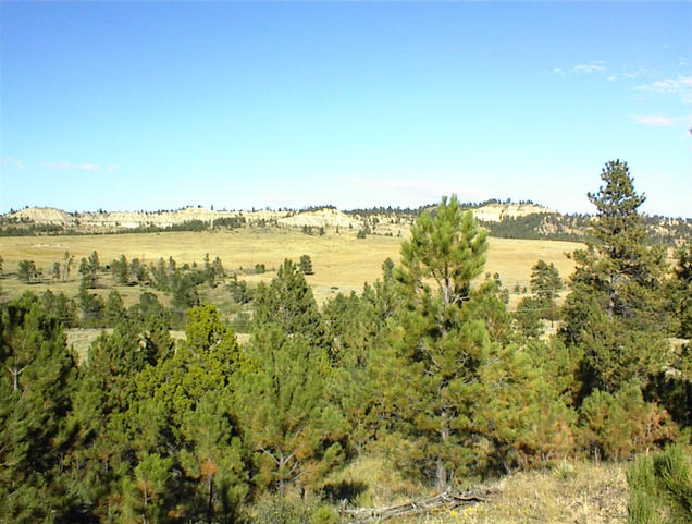 North view from the hill just above the confluence