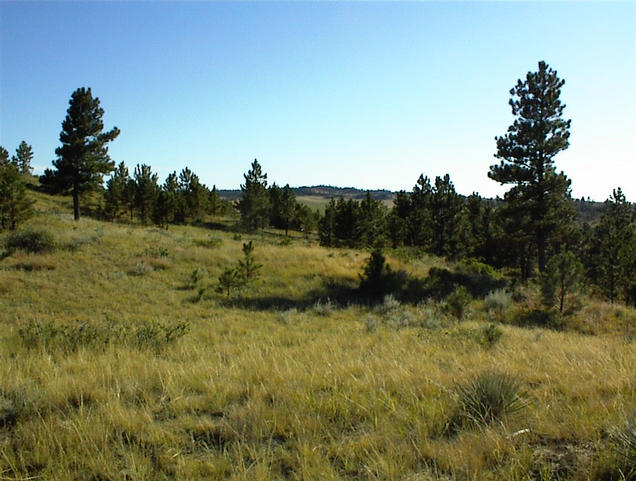 Southeast view from hill