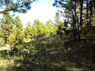 #1: East view from the confluence