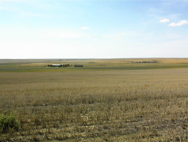 West view from confluence