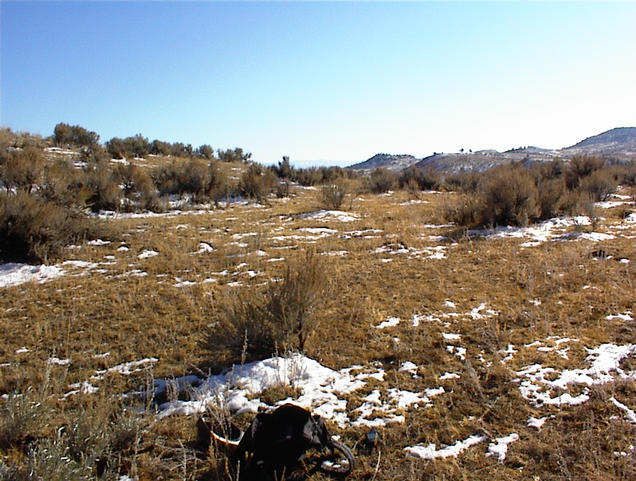 South view from confluence