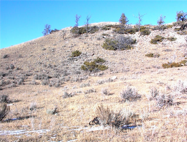 North view from confluence