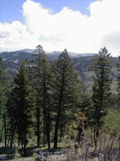 #1: Looking east from the confluence