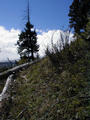 #2: Looking south from the confluence