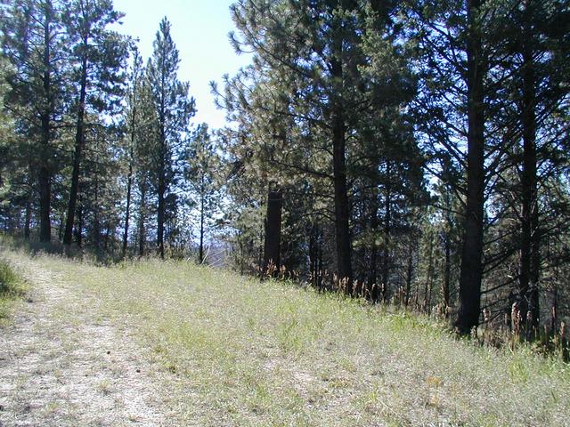 Looking east from confluence