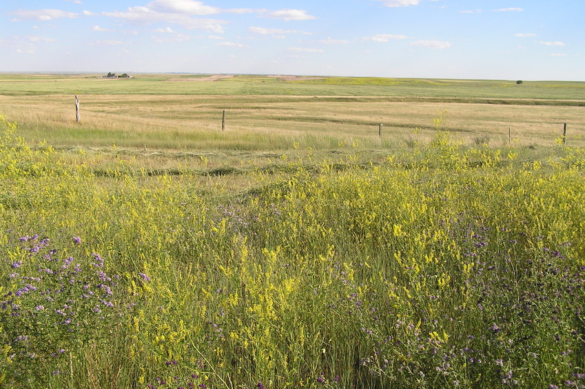 View to the south from the confluence.