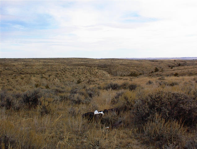 East view from the confluence