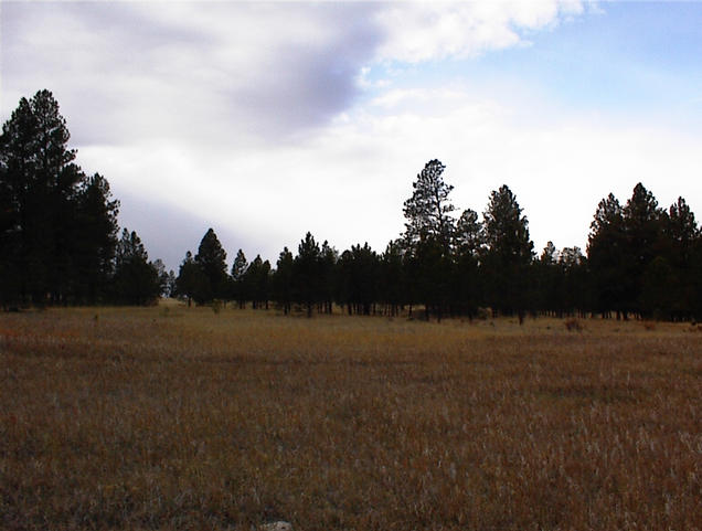 West view from the confluence