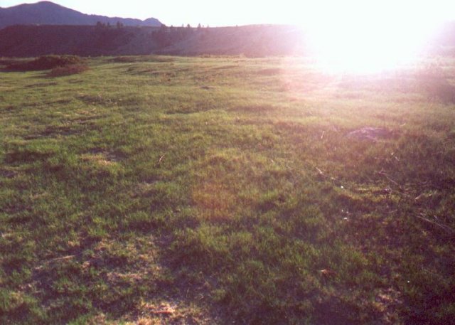 Looking west (into the low sun)