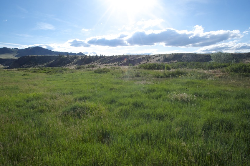 View West (towards the Missouri River - not visible in this photo)