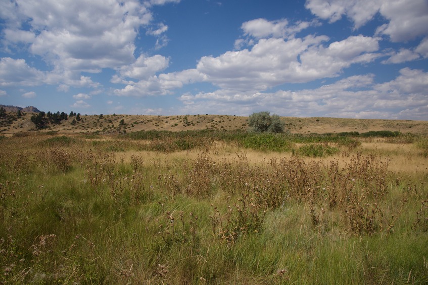 View West (towards the Missouri River - not visible in this photo)