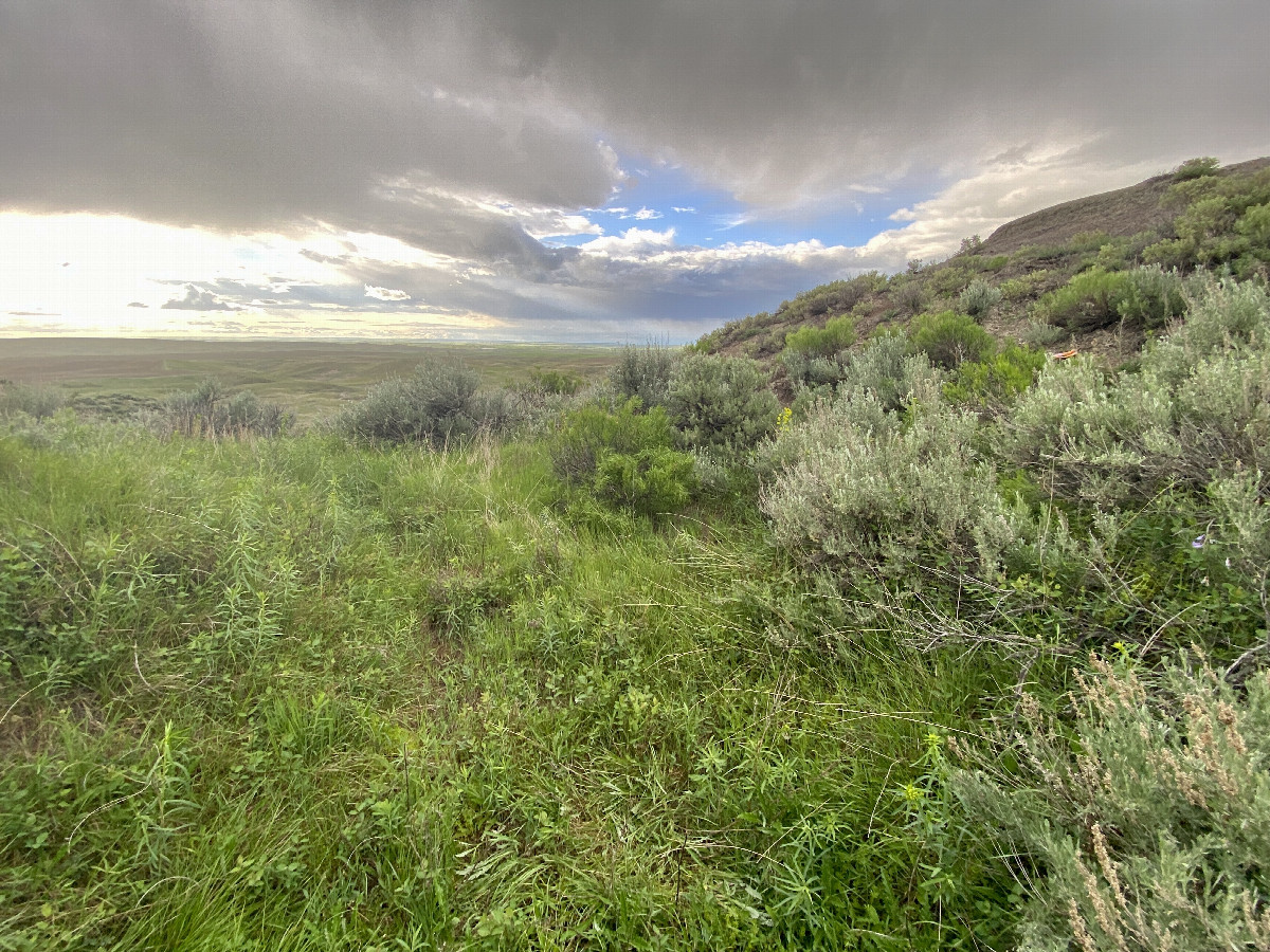 The confluence lies in the foreground of this picture, looking northwest. 