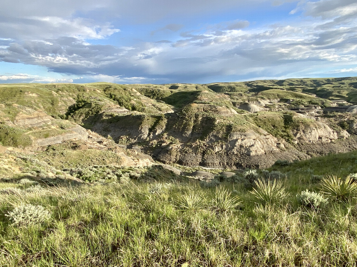 The scenery to and from the confluence point, looking south. 