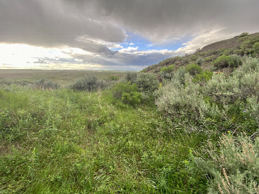 #1: The confluence lies in the foreground of this picture, looking northwest. 