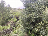 #5: A view to the west from the confluence point.